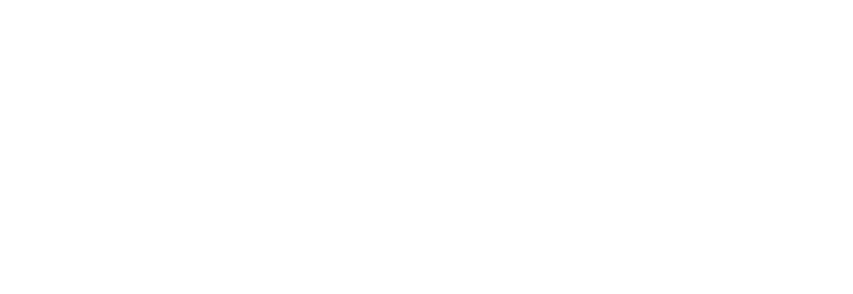 eCommerce Institute